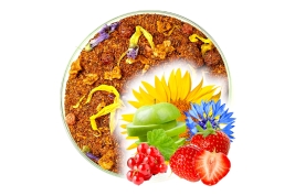 Herbata ROOIBOS BAŚNIOWY Czarodziejski Eliksir !